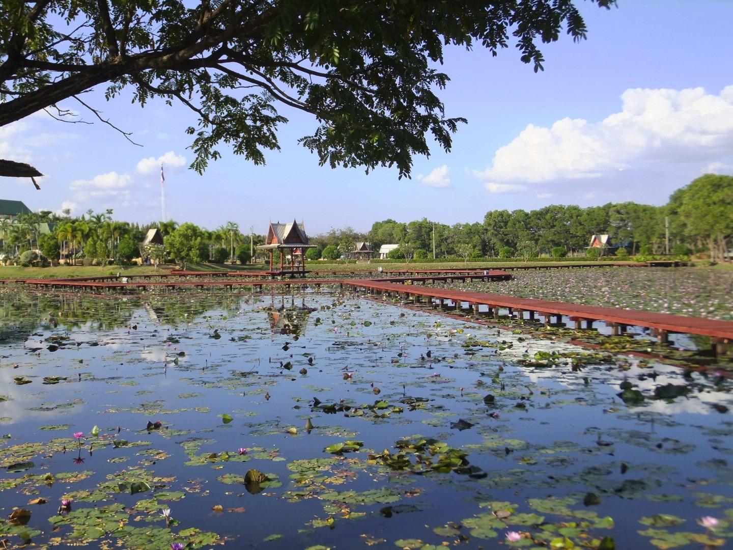 จุดชมวิว หนองหาร สกลนคร