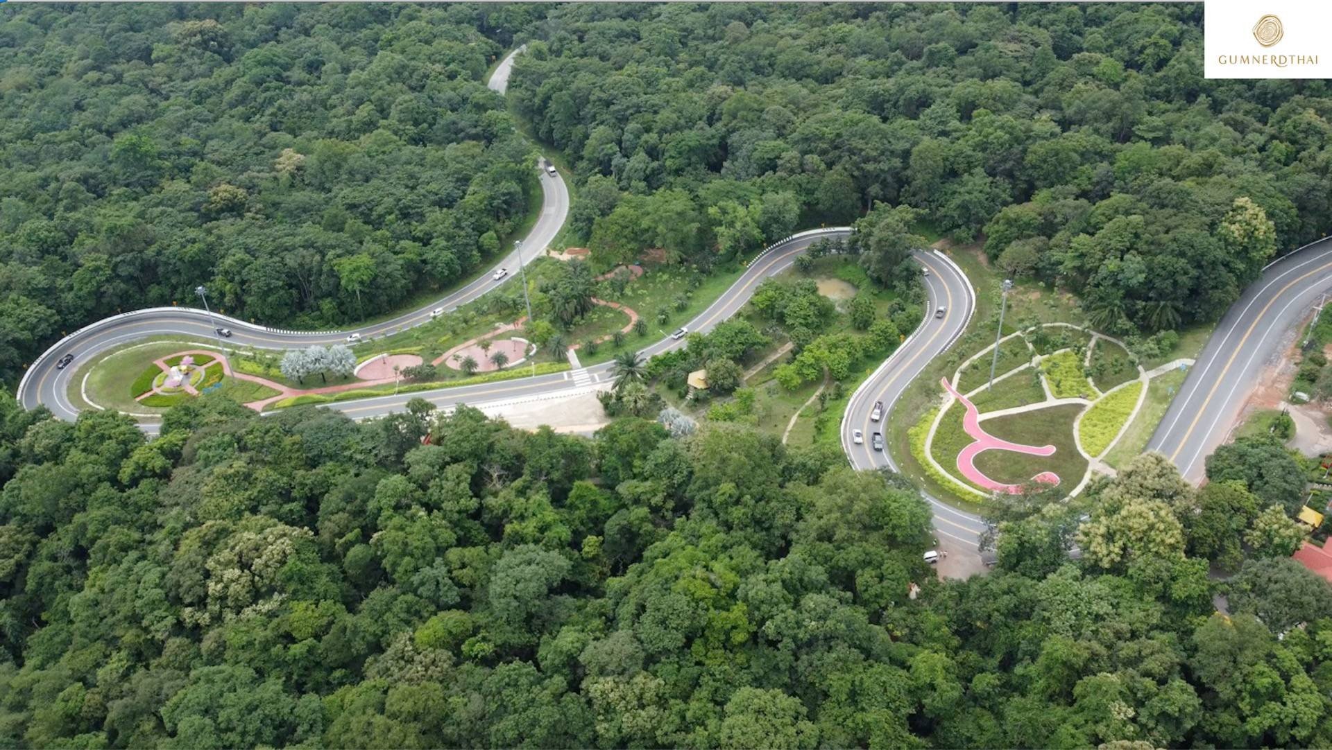 โค้งปิ้งงู